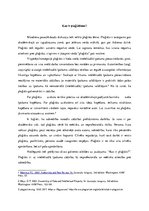 Eseja 'Kas ir plaģiātisms?', 1.