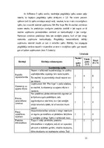 Referāts 'SIA „Pro vape” konkurētspējas analīze', 23.