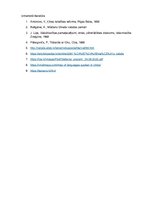 Prezentācija 'Dialekti jeb valodas reģionāli paveidi', 12.