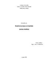 Referāts 'Darba drošība', 1.