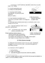 Referāts 'Darba drošība', 8.