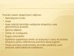 Prezentācija 'Sikspārņi', 4.
