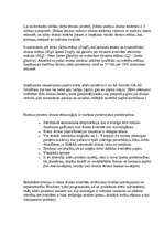 Konspekts 'Adatu (matricu) printeru darbības princips', 2.