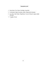 Referāts 'Kognitīvais process: atmiņa', 10.