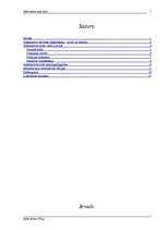 Referāts 'Alternatīvie soda veidi', 1.