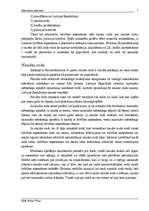 Referāts 'Alternatīvie soda veidi', 5.