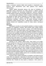 Referāts 'Alternatīvie soda veidi', 13.