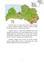 Referāts 'Multikulturālisms mūsdienu sabiedrībā', 7.