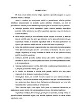 Referāts 'Personāla izaugsmes un karjeras plānošana', 19.