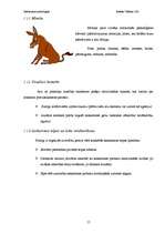 Referāts 'Saskarsmes psiholoģija', 15.