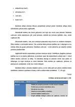 Referāts 'Reklāma kā galvenā integrētā mārketinga komunikācijas sastāvdaļa Nacionālo bruņo', 9.