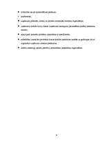 Referāts 'Reklāma kā galvenā integrētā mārketinga komunikācijas sastāvdaļa Nacionālo bruņo', 15.