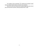 Referāts 'Reklāma kā galvenā integrētā mārketinga komunikācijas sastāvdaļa Nacionālo bruņo', 21.