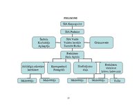 Prakses atskaite 'Kvalifikācijas prakses dienasgrāmata - atskaite', 27.