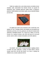 Eseja 'Ko es kā uzņēmējs (varu un daru) darīšu, lai veicinātu zaļo domāšanu', 2.