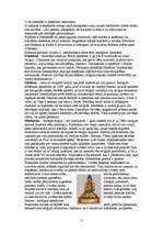 Referāts 'Indija', 11.