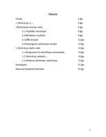 Referāts 'Motivācija kā organizācijas vadīšanas problēma', 2.