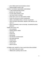 Referāts 'Motivācija kā organizācijas vadīšanas problēma', 12.