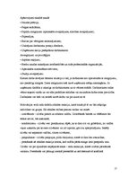 Referāts 'Motivācija kā organizācijas vadīšanas problēma', 17.