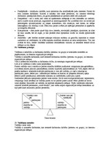 Konspekts 'Eksāmena jautājumi un atbildes menedžmentā', 41.