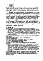 Konspekts 'Eksāmena jautājumi un atbildes menedžmentā', 45.