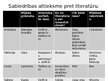 Prezentācija 'Mēs un literatūra', 3.
