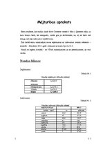 Referāts 'Mana mājas grāmatvedība', 2.