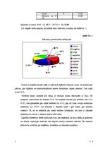 Referāts 'Mana mājas grāmatvedība', 3.