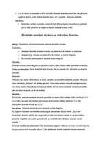 Referāts 'Kā cilvēki izvēlas restorānu', 5.