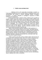 Referāts 'Oriģinālu mācību metožu izmantošana', 6.