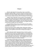 Referāts 'Oriģinālu mācību metožu izmantošana', 19.