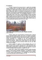 Referāts 'Pilskalns Cēsīs - Riekstu kalns', 2.