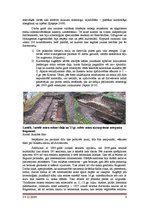 Referāts 'Pilskalns Cēsīs - Riekstu kalns', 6.