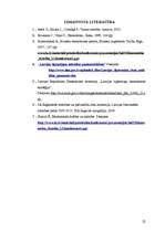 Referāts 'Latvijas ekonomiskās attīstības modeļi', 22.