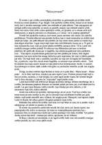 Eseja 'Eseja par noveli "Salna pavasarī"', 1.