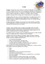 Konspekts 'Patoloģija. Citoloģija', 3.