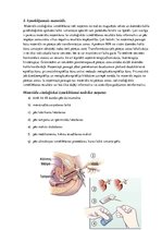 Konspekts 'Patoloģija. Citoloģija', 7.