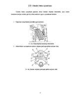 Konspekts 'Ford Probe dzinēja demontāža, montāža un defektēšana', 8.