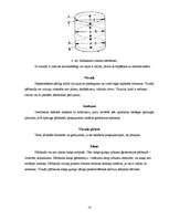 Konspekts 'Ford Probe dzinēja demontāža, montāža un defektēšana', 13.