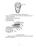Konspekts 'Ford Probe dzinēja demontāža, montāža un defektēšana', 19.