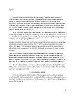 Referāts 'SIA V.O.V.A. finanšu koeficientu analīze', 13.