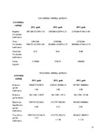 Referāts 'SIA V.O.V.A. finanšu koeficientu analīze', 21.