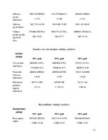 Referāts 'SIA V.O.V.A. finanšu koeficientu analīze', 22.