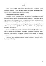 Referāts 'Madonas Novadpētniecības un mākslas muzeja ekspozīcijā esošo rotas lietu un citu', 3.