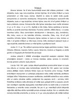 Referāts 'Madonas Novadpētniecības un mākslas muzeja ekspozīcijā esošo rotas lietu un citu', 4.