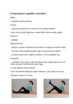 Referāts 'Vingrojumu komplekss', 5.