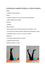 Referāts 'Vingrojumu komplekss', 7.