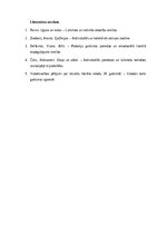 Eseja 'Laika spogulis: cilvēka un sabiedrības saskarsme ar savu gadsimtu literatūrā un ', 3.