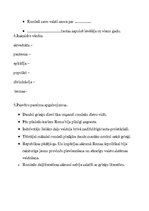 Konspekts 'Tests "Roma"', 2.