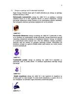 Referāts 'Zīmogu un spiedogu lietošana uzņēmumā', 6.